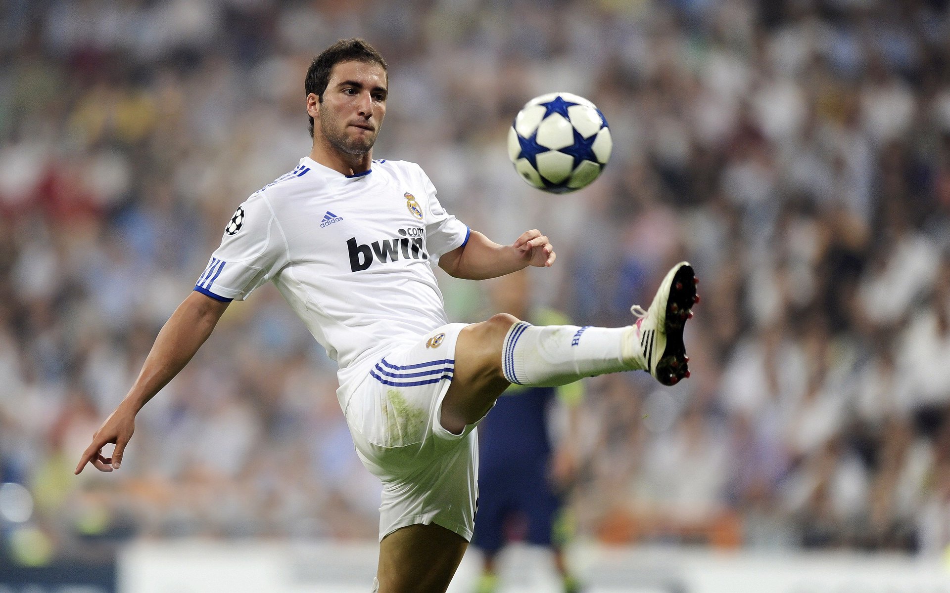 猛龙防守锁死浙江队，爱德华兹全场最佳无争议