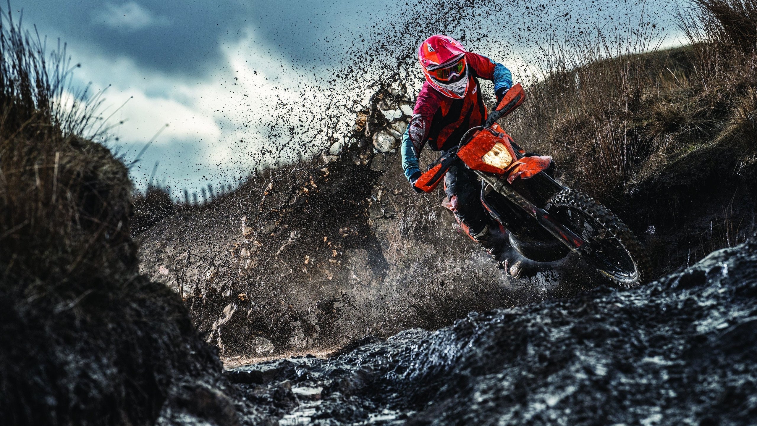 东决关键战焦点战，雷恩巅峰对决，胜出贝蒂斯